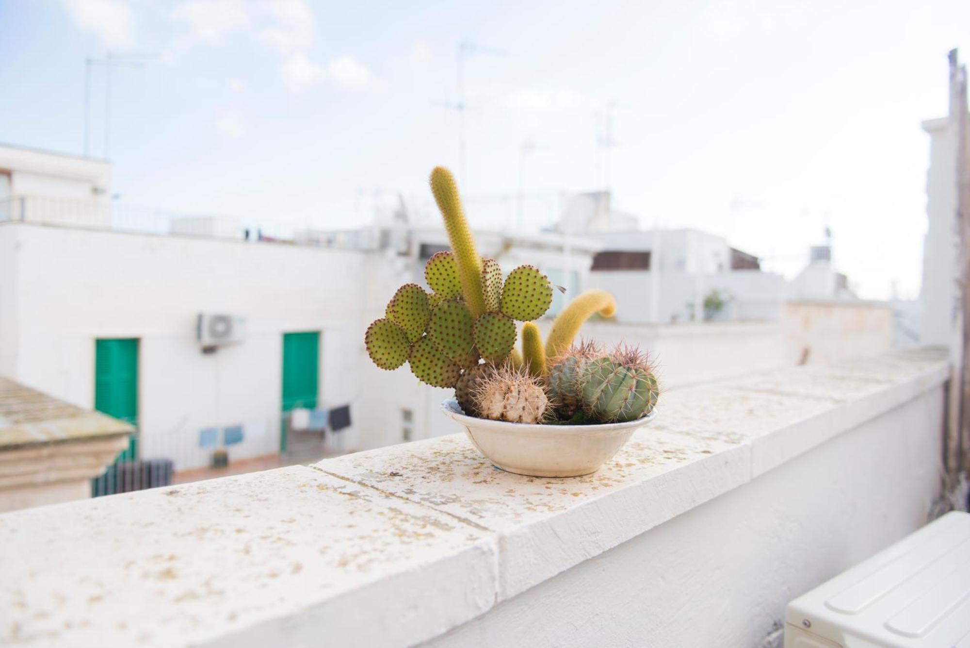 דירות מונופולי A Casa Di Lavinia מראה חיצוני תמונה